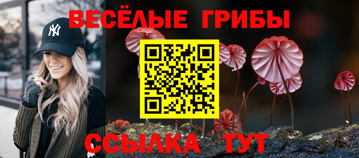 закладка  Вход с VPN  Галлюциногенные грибы Cubensis  Сердобск  Галлюциногенные грибы MAGIC MUSHROOMS 